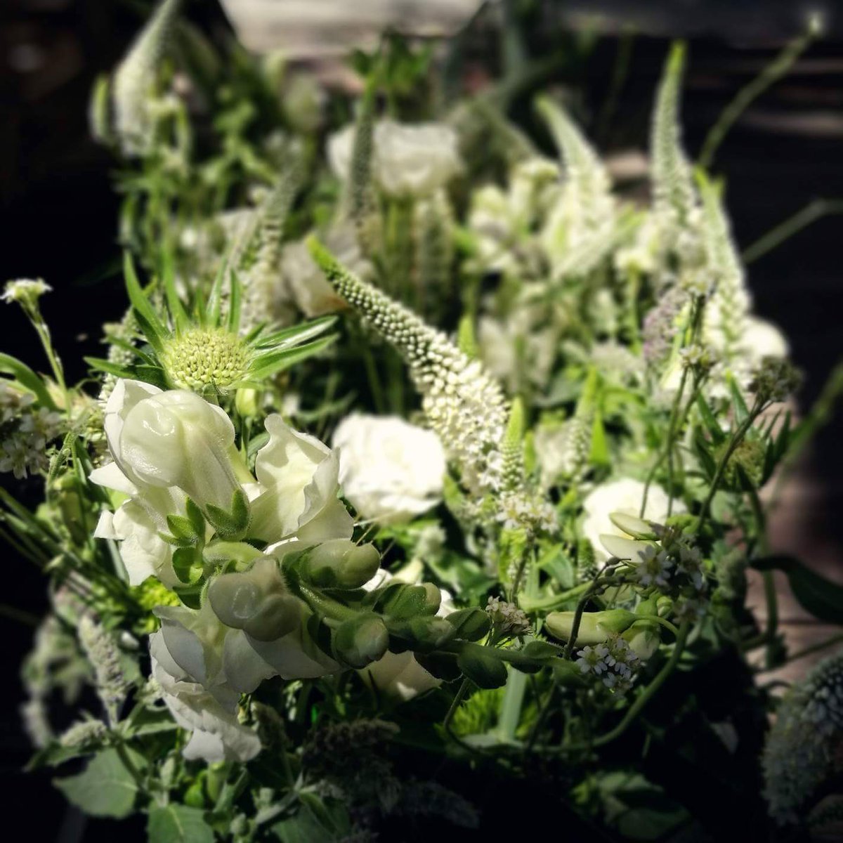 KanaalBG's tweet photo. Today, June 24, we're closed for a private wedding party <3 https://t.co/1jjPKEHCLD