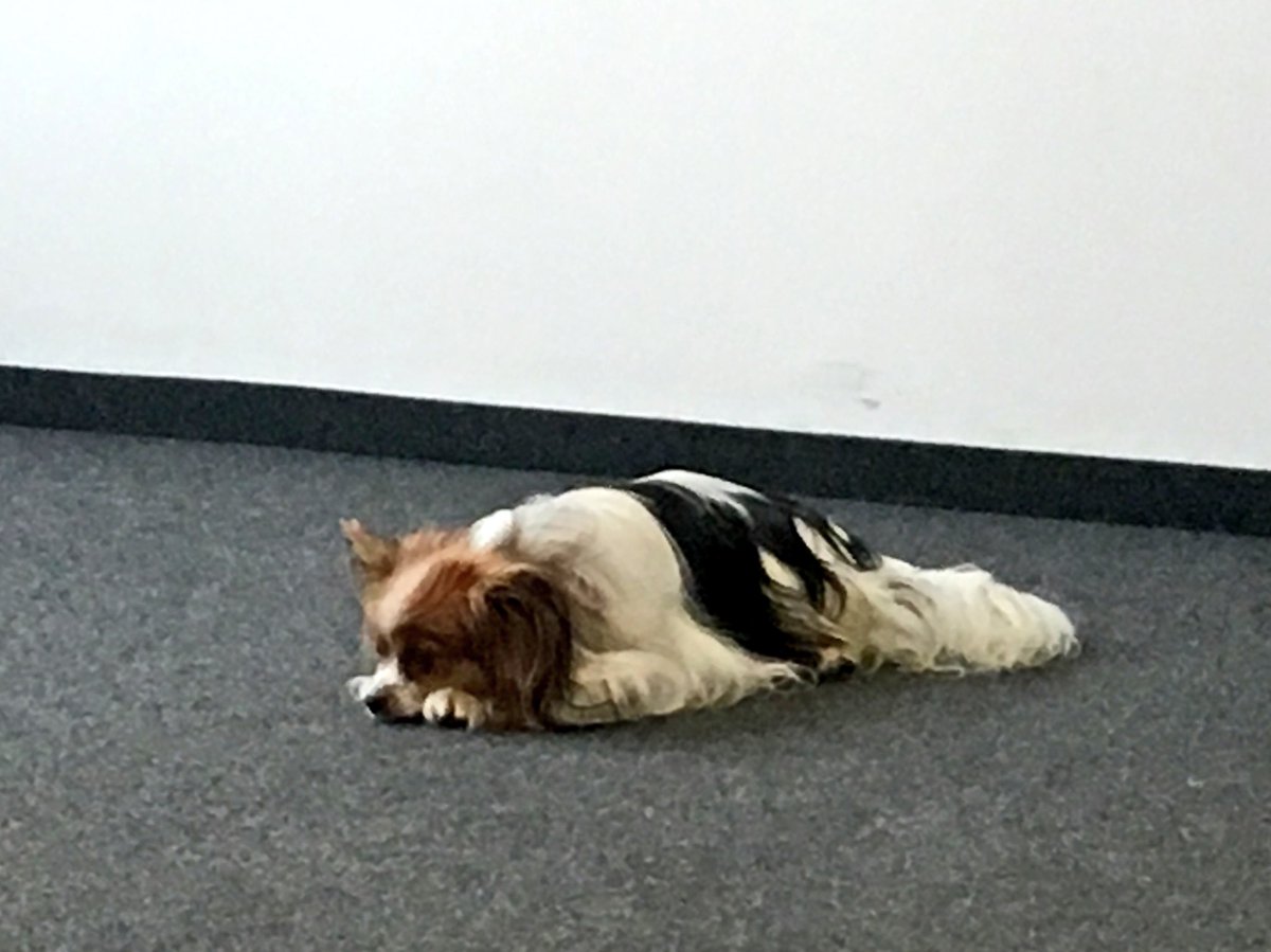 meErras's tweet photo. ... ich jetzt, unmittelbar vor meiner #BarCamp-Session beim #subc17... #nocheinmalsammeln #konzentration #readytogo https://t.co/8ykWOFZfgY