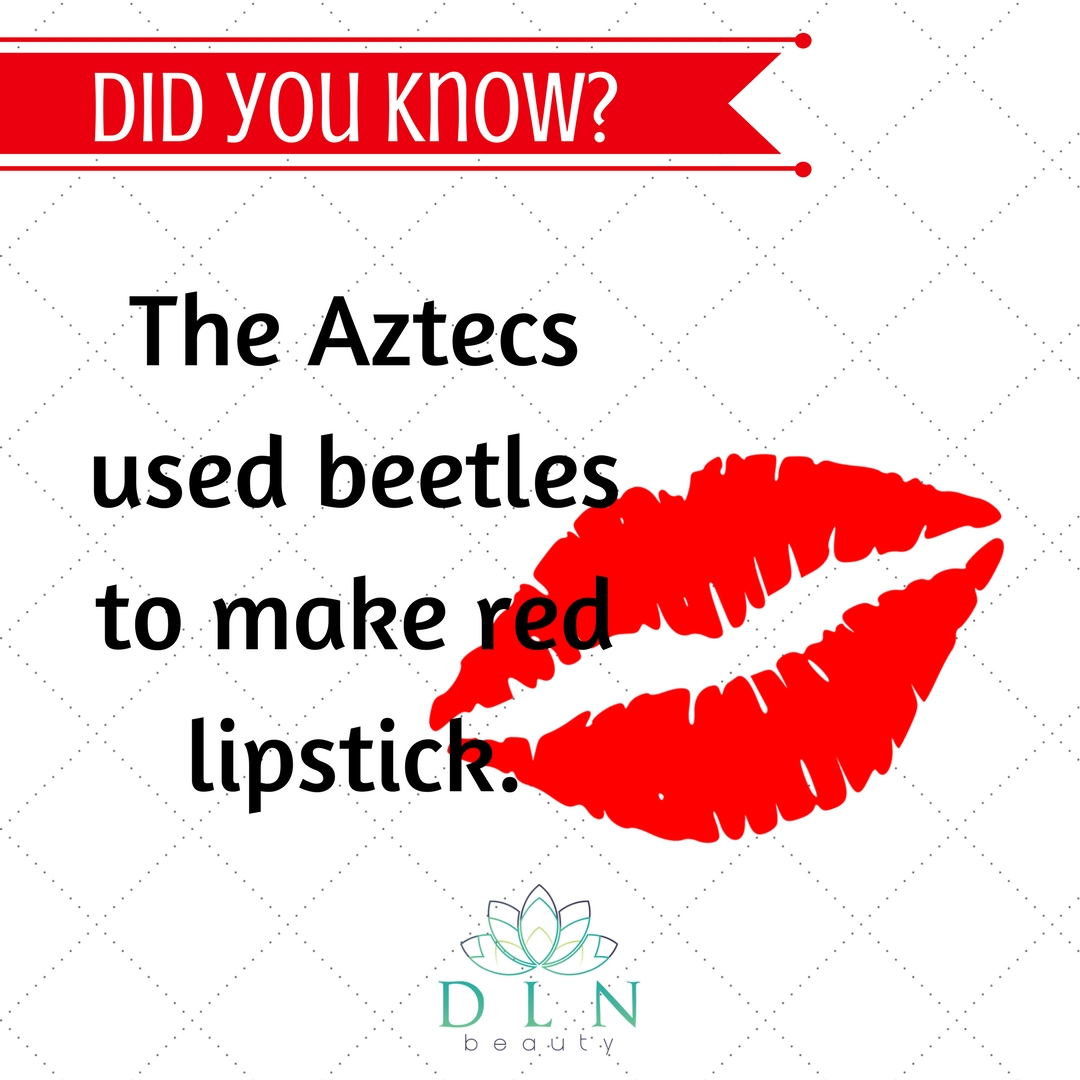_dlnbblogger_'s tweet photo. It was actually an insect called "cochineal" which was used as a fabric and cosmetics dye during the 15th century.    ⠀ https://t.co/kH5o01OZCK
