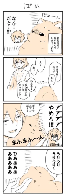 皆さんの描かれるぽめです先生が可愛すぎて…ぽめネタお借りしました!
わんこな学士殿 