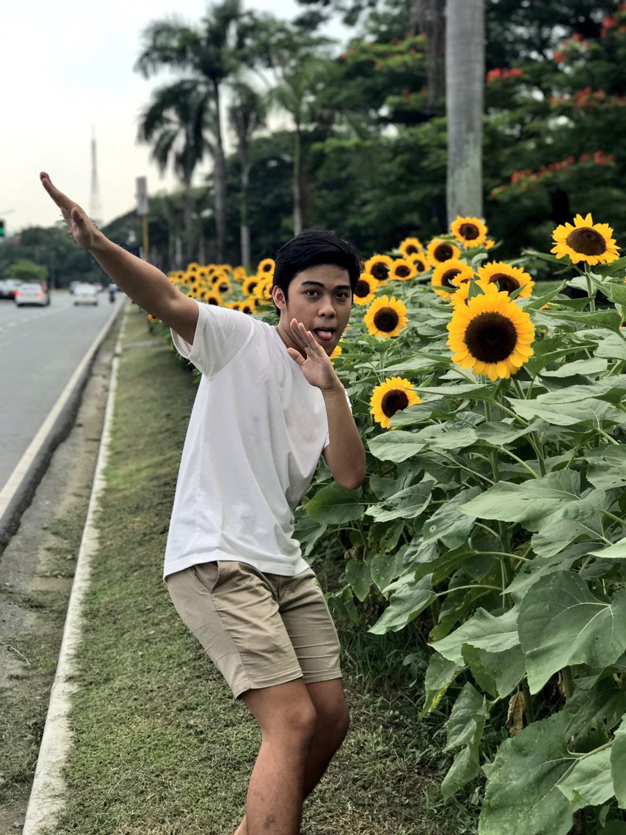 atthebigdom's tweet photo. #Sunflowers2017 #Gumamela2017 #Santan2017 #Fern2017 #Halaman2017 ๐๐ญ๐ป๐ช๐ผ
Thanks for the roller coaster ride, UP! Tomorrow, we part ways! https://t.co/IVwiBHsP6S