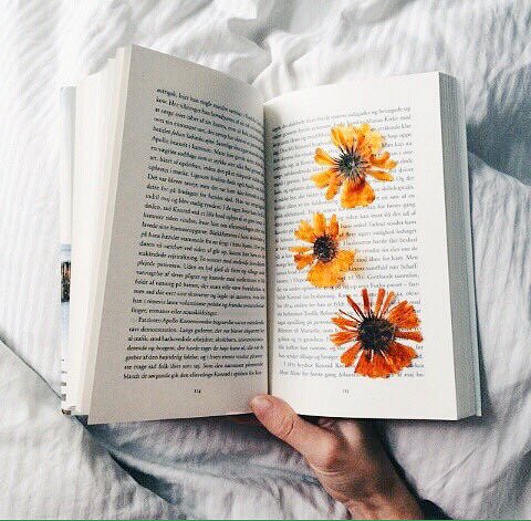 minsugaesthetic tweet picture