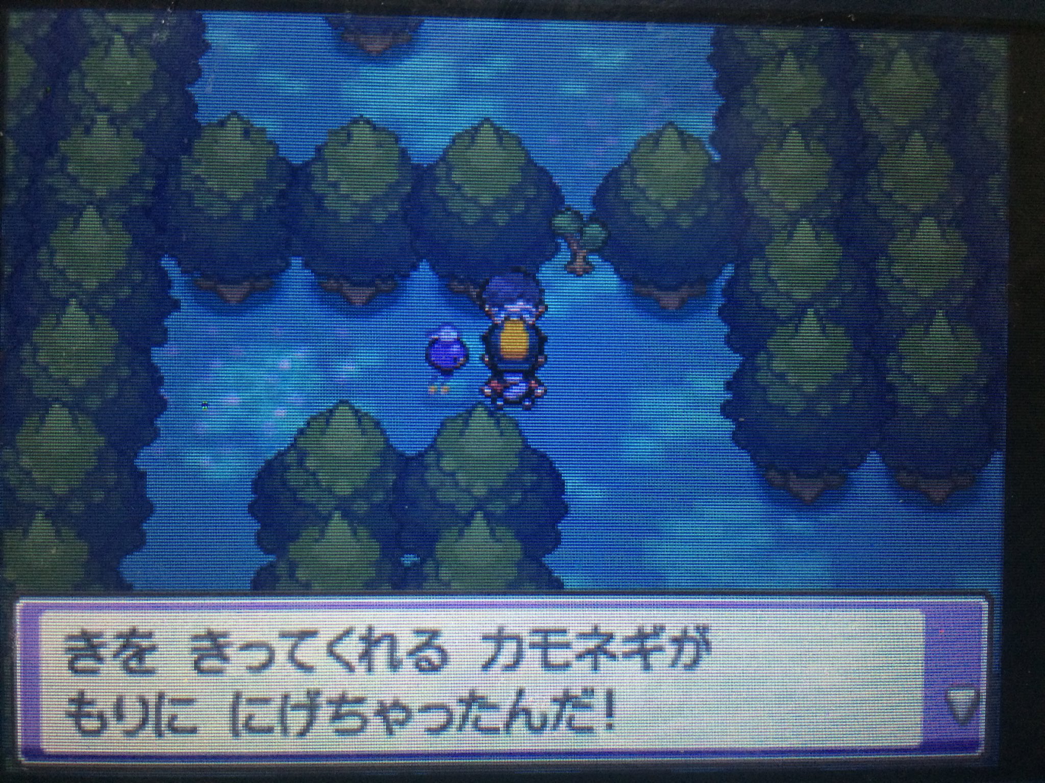 ポケモンハートゴールドフワライド単騎縛り Twitter