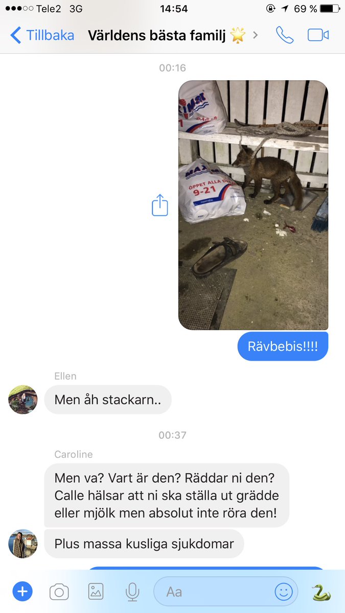 SirMarreCOOL's tweet photo. Igår när man trodde att man skulle DUKA med bestick och skålar till räven istället för att DUNKA med de för att skrämma iväg den hahahaha https://t.co/zIAfAVTpUh