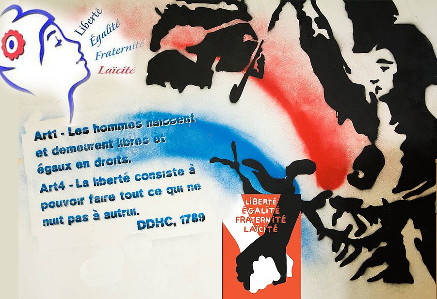 Quino solo✌ tweet media