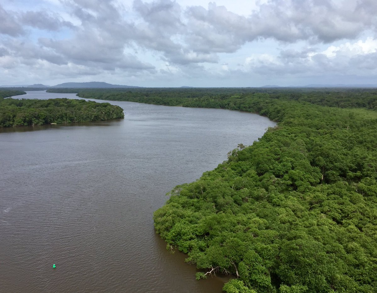 CasaSciences's tweet image. Appel à projets Biodiversité et Cultures @EuropeEnGuyane @CTdeGuyane jusqu'au 30/09. Réunion 4/07 15h au Pôle Affaires Européennes à Cayenne