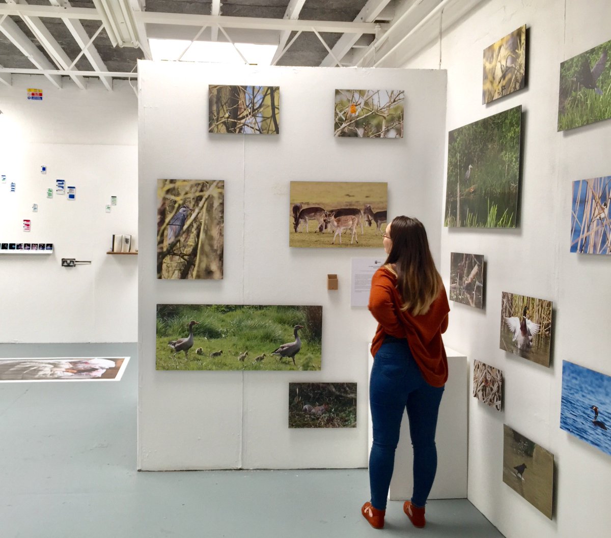 Congratulations to our talented students for all their hard work at the #DegreeShow. We're so proud of you! #UoN #Art #DegreeShow