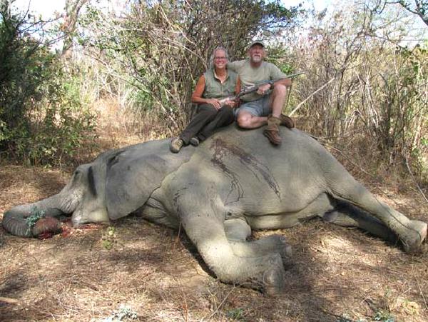 The myopic obscenity of allowing damaged #sociopaths, to murder #endangered #species just for fun. will shame us #forever.
#BanTrophyHunting