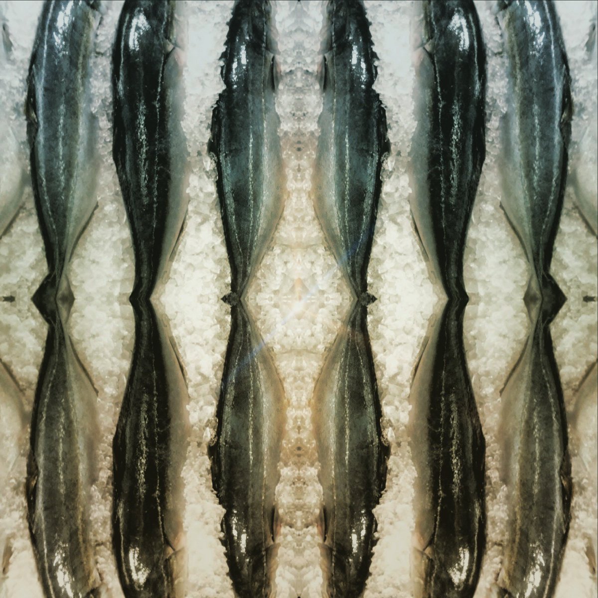 Slacker_Shirts's tweet image. 