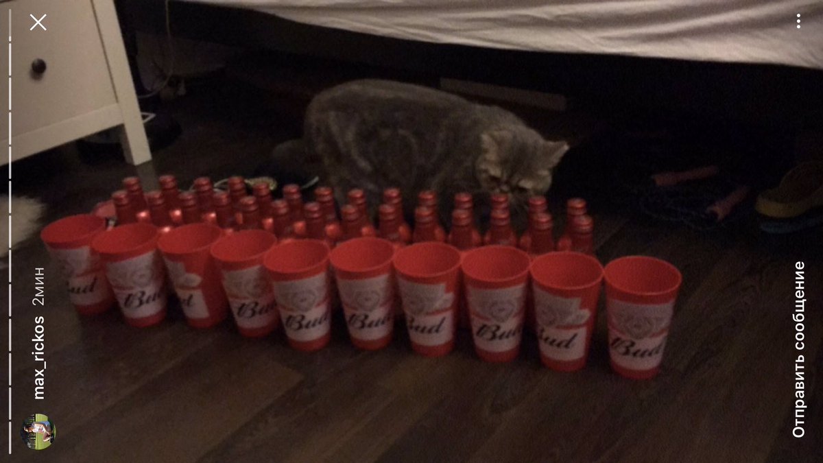 Any_yoyo's tweet photo. Когда просишь друзей пожить в ваш��й квартире и присмотреть за котом https://t.co/YewshngMp1