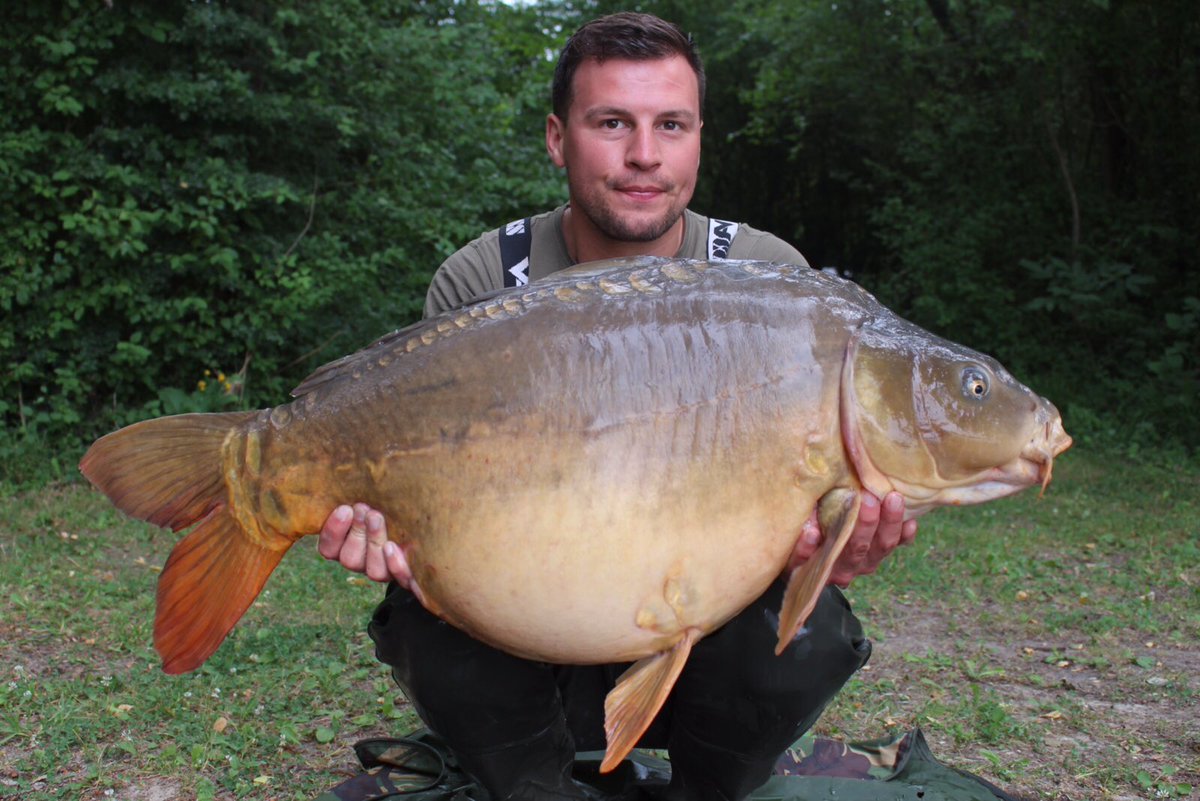 MarkTucker86's tweet photo. Thanks LDP hard fishing this week @urban_bait helped get a few 55,47,46 and 37.10 common. Me and @bank_rat loved it amazing place. https://t.co/qEfqcdNxgL