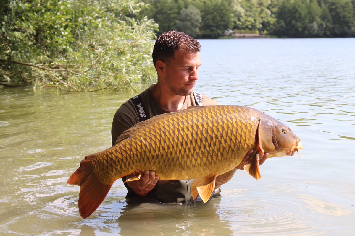 MarkTucker86's tweet photo. Thanks LDP hard fishing this week @urban_bait helped get a few 55,47,46 and 37.10 common. Me and @bank_rat loved it amazing place. https://t.co/qEfqcdNxgL