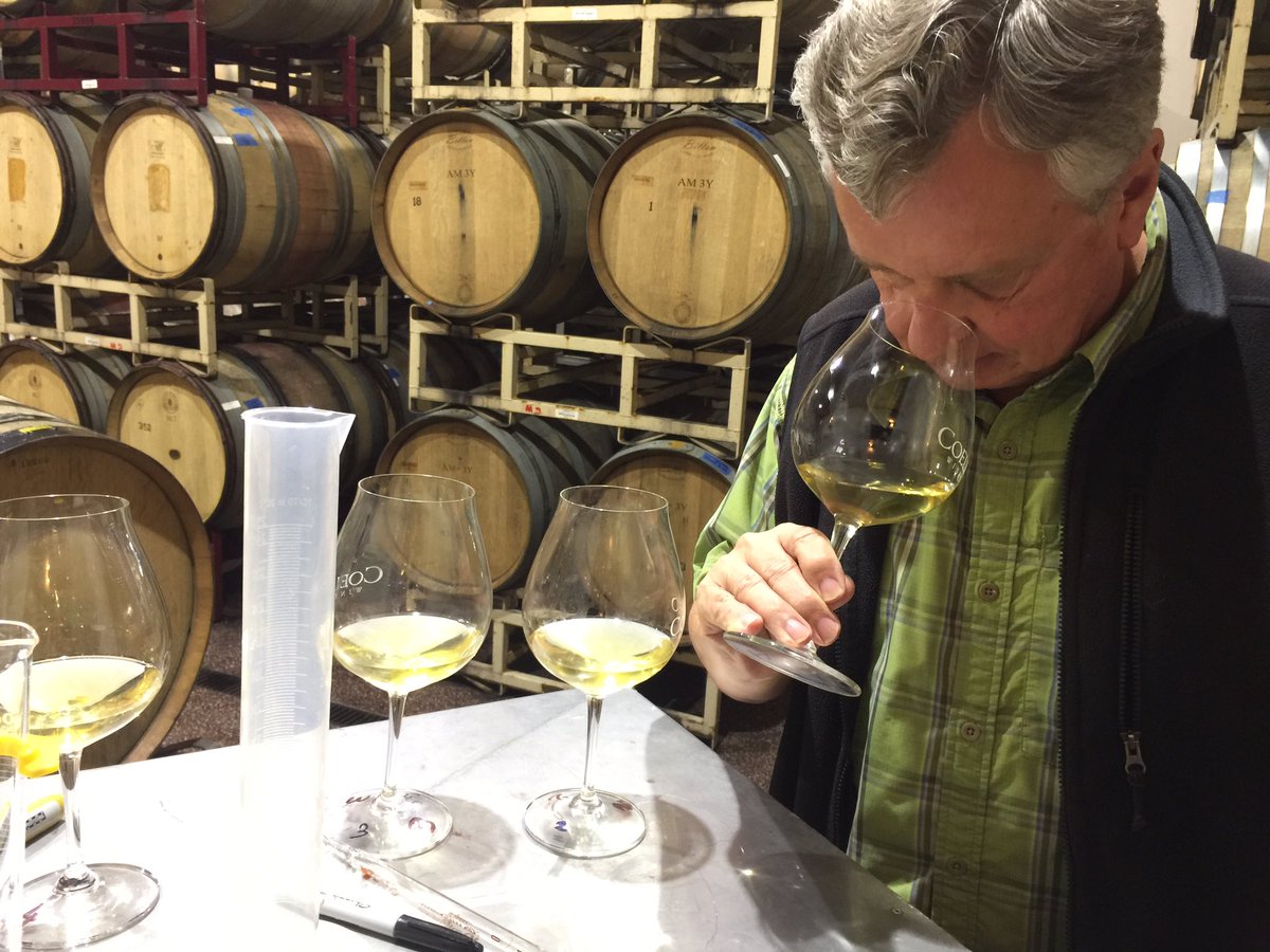 Starting our 2016 #chardonnay blending trials.