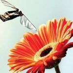 UNE VERDE tweet media