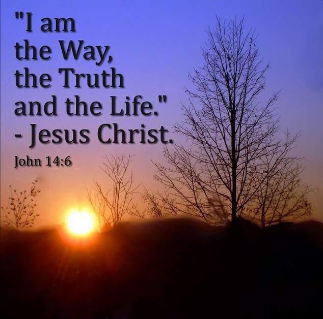 AVIELA (@avi_voa) on Twitter photo 