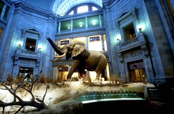 airbagmoments's tweet photo. Liberal museum vs. conservative museum.
#LiberalVsConservative https://t.co/zgsjsfjPyj