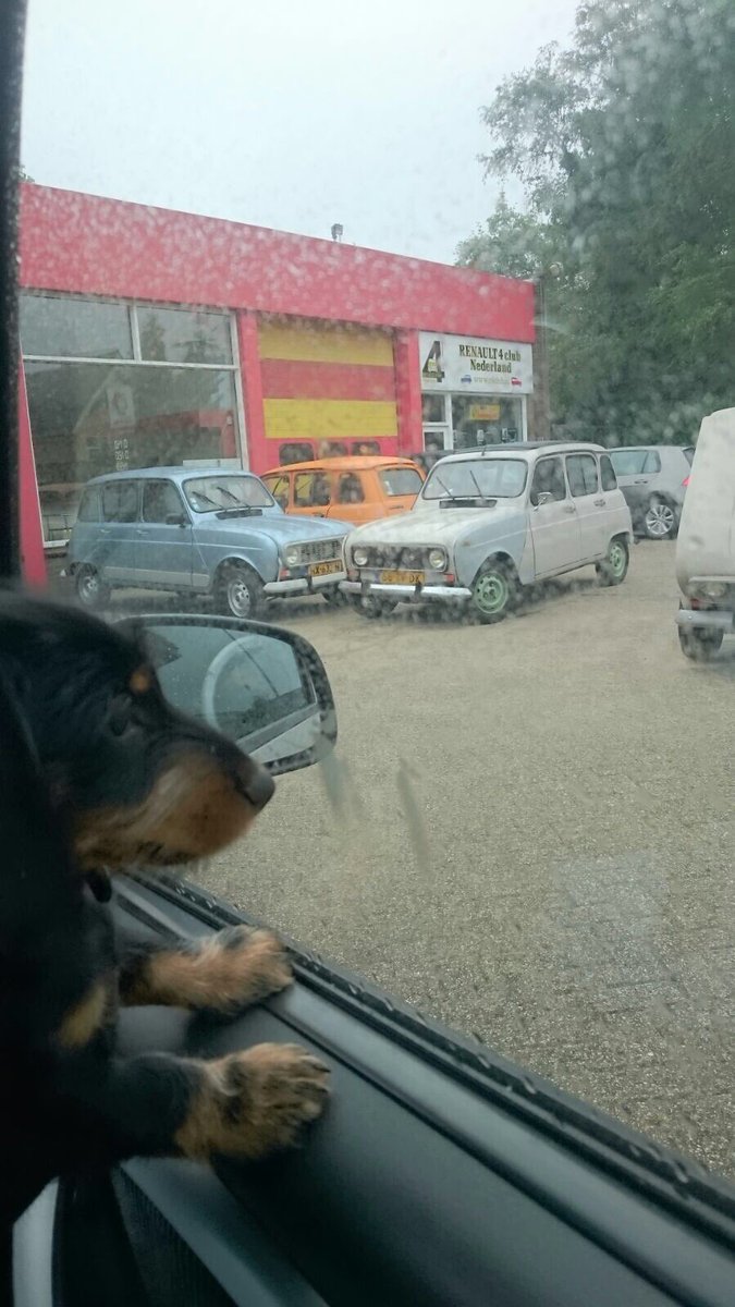 r4f4gt's tweet photo. Vandaag bij de @r4club geweest voor een #ducellier #dynamo 514011D voor Renault 4f4 850cc zij hadden hem niet; wie wel? #dringend nodig https://t.co/ZVGNOh722K