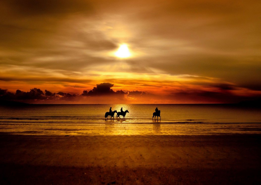 Discover a place in Mozambique where you can experience miles of pristine sandy beaches on an exclusive horse ride ow.ly/N8gl30cHnw8