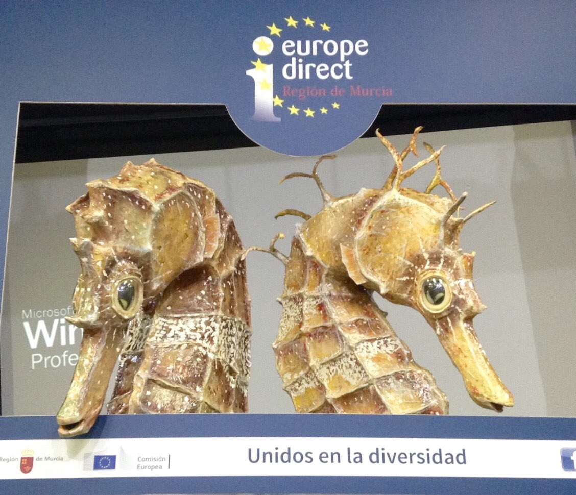 EuropeDirectRMu's tweet photo. Felicidades a @AsocHippocampus #CaballitodeMar por el gran trabajo realizado estos 10 años en #MarMenor #EMD2017 @PinatarInfo https://t.co/J8td0efdgK