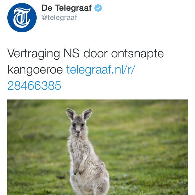 Op hoofdkantoor NS: "We moeten iets verzinnen, ze geloven die kapotte bovenleidingen en wisselstoringen niet meer"