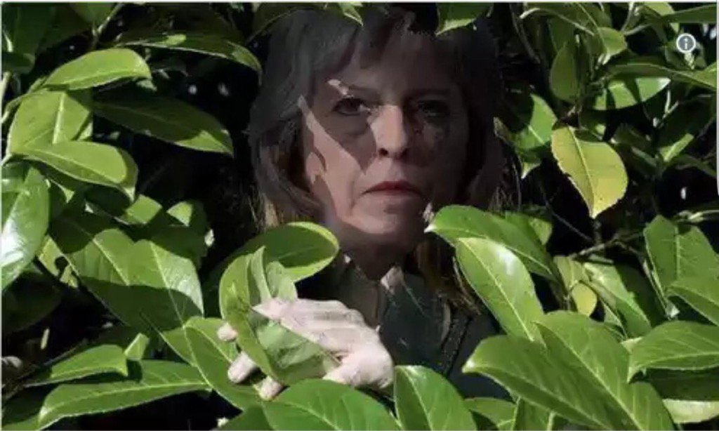 DDGJtc0XYAYH3-0.jpg:large