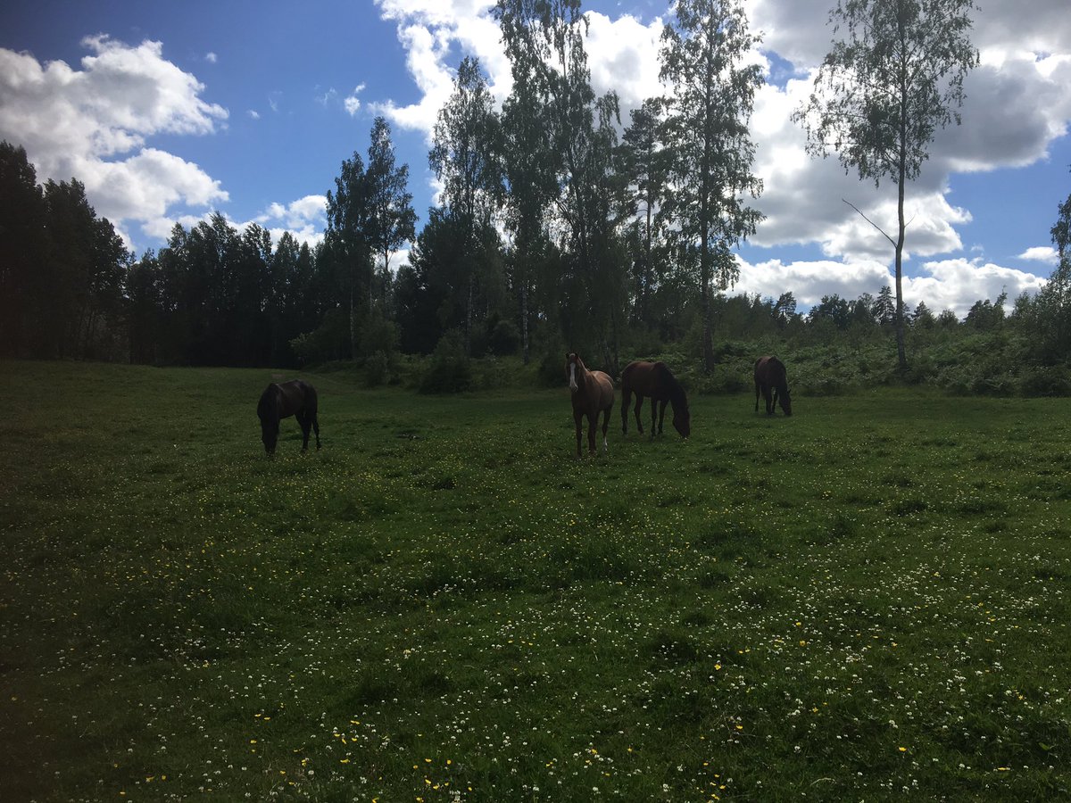 Midsommar på Gröndal