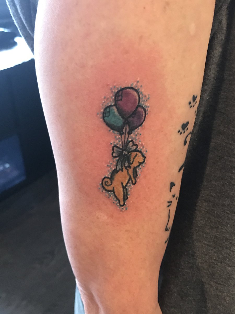 GTWolverhampton's tweet photo. Balloon doggy again on a different client from Avalon! #floatingdog ~D~ https://t.co/o05gnLTlBT