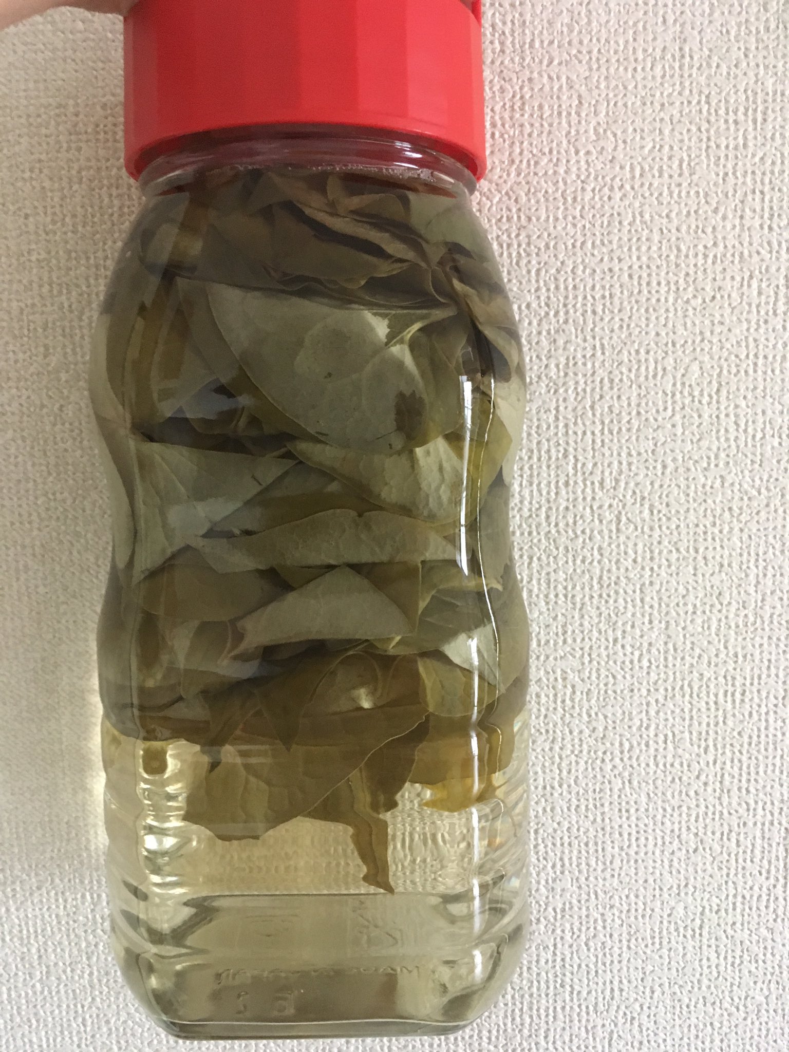 تويتر Cheo本物の薔薇アクセサリー على تويتر 手作り化粧水 遂に出来上がりました 約1カ月ほど 生のドクダミの葉を日本酒で漬けてました 仕上げにグリセリンと 生の蜂蜜 でしあげて完成 名付けて 雑菌もできちゃって色白にもなっちゃうかも です