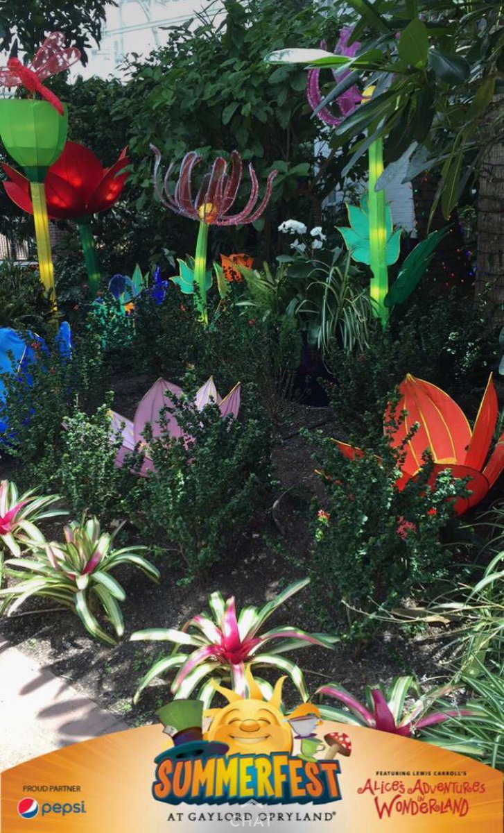 GaylordHotels's tweet photo. Don't miss the NEW Chinese lanterns @GaylordOpryland! #SummerFest presented by @Pepsi #extraordinaryenvironments https://t.co/MFdoMKqdDF https://t.co/cO0rUY1Wnx