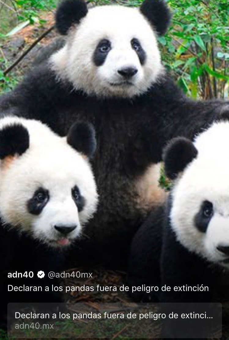 xpeditionplan's tweet photo. ¡De las mejores noticias del día 🐼! https://t.co/rZymmNokZJ