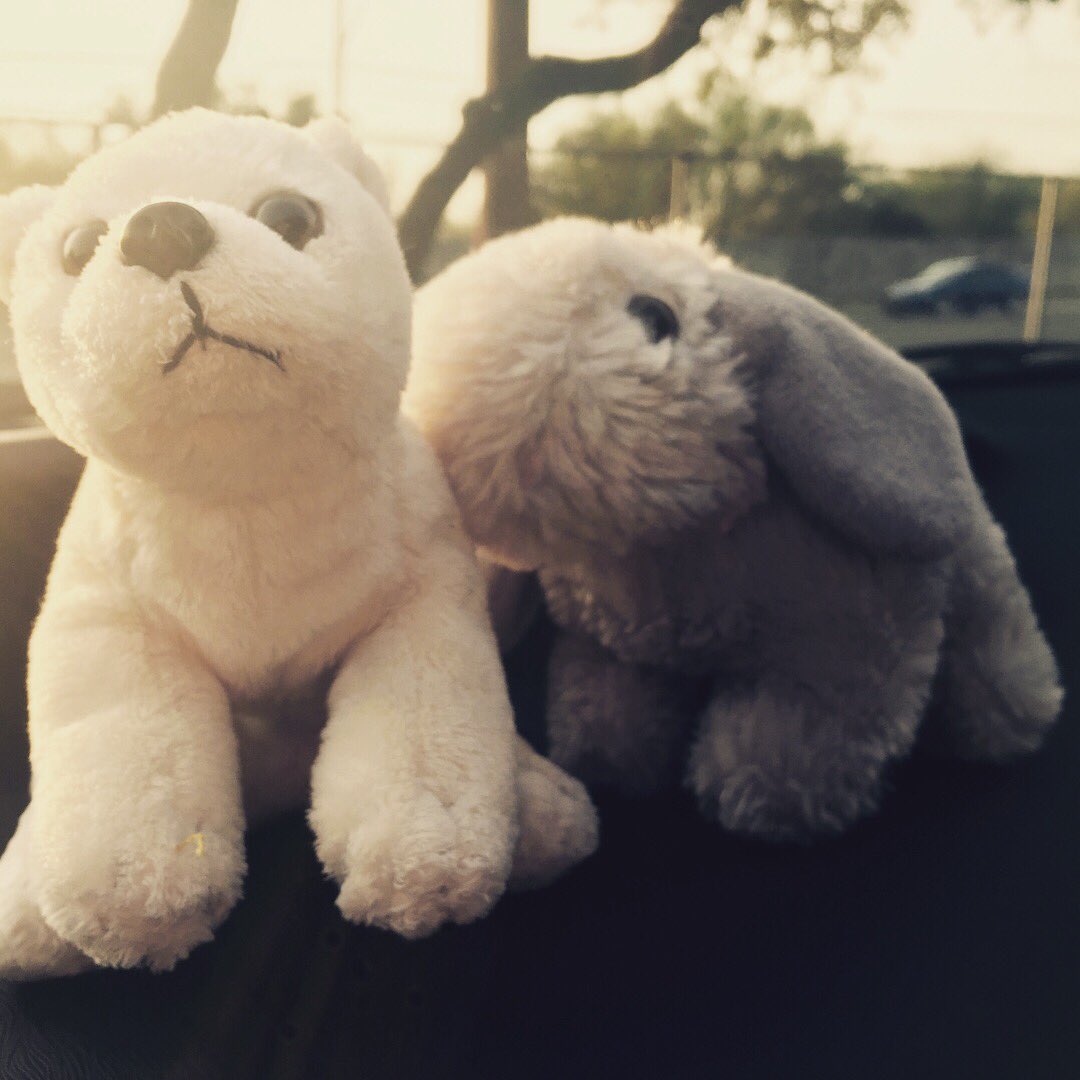 BASISSAMEDICAL's tweet image. Did you or someone you know #leavebehind these little guys?
private message contact info!
#BASISPrimary