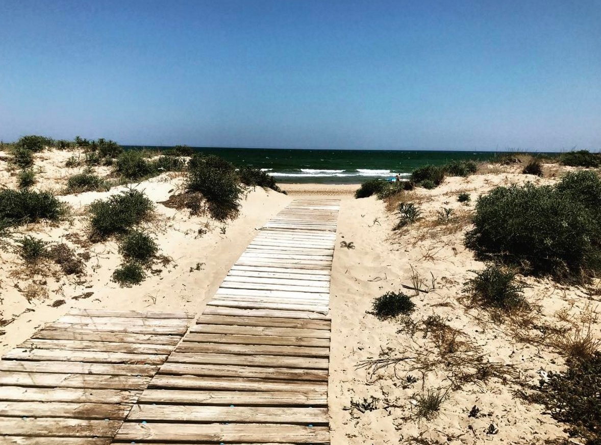 HostalLoreto's tweet photo. We're just steps from the beach. Water sports galore... #LoretoLife https://t.co/Ss7D3l18V0