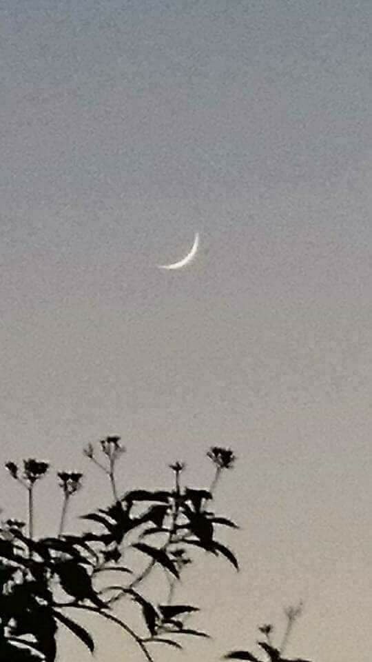 Engr Qasim Jan on Twitter "Moon sighted in saudi chandraatmubark…