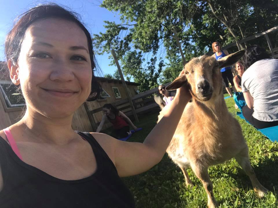 katrinatulloch's tweet image. Hilarious &amp;amp; fun time at @PurposeFarm's #goatyoga class today! I hope everyone tries it this summer: syracuse.com/entertainment/…