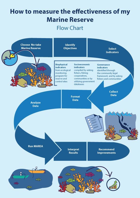 online multi objective management in freight logistics