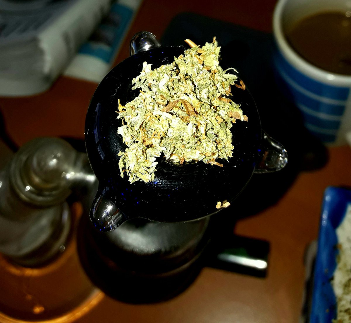 Apez140's tweet photo. @Volandoenminube Weed Noche ya Poison, hacemos lo qué se puede. De momento,
#LosMejoresHumos con #AfghanStorm de @GreenbudSeeds.
Boong va, A Tu Salud:-))) https://t.co/BJW240GAhS