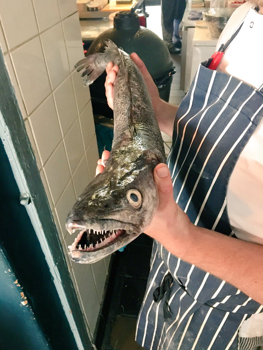 BellsDiner's tweet photo. #whatacatch #fishdish #hake #smokedhamhock #cockles #peas #broadbeans #grelots @degusta_bristol @kingfisher_br1xham @frenchgardenbristol https://t.co/QYlXqnbflR