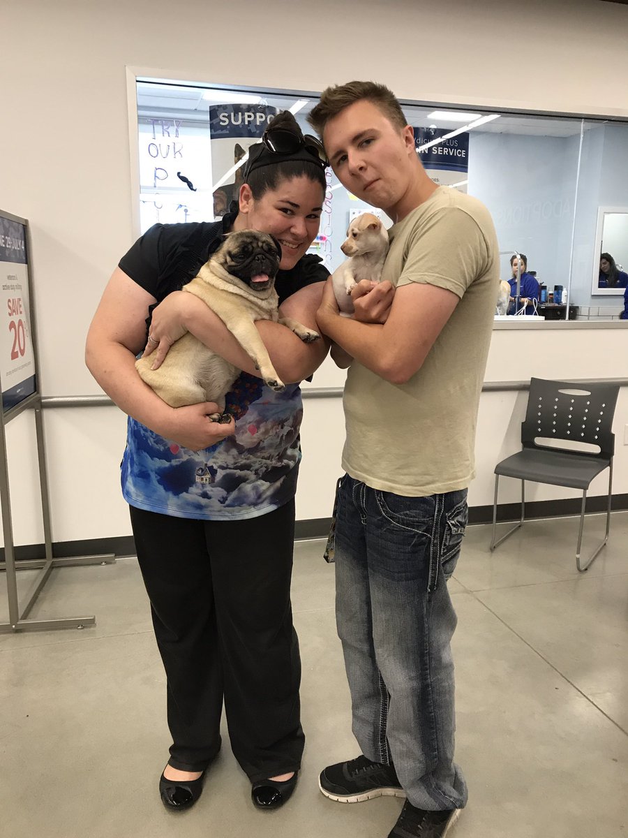 PetSmart3029's tweet photo. Look how happy LIlo is that have a sister. So happy Macaroon found her forever home https://t.co/zYiKLQHVha