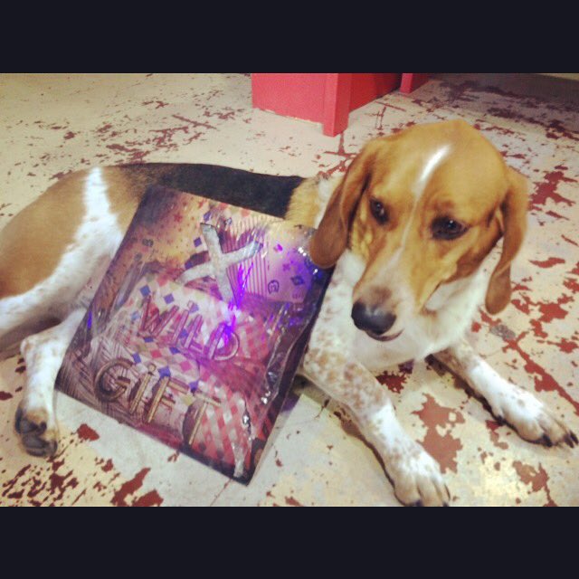 Now Spinning: X "Wild Gift" on Slash. Jasper's staff pick. #nowspinning