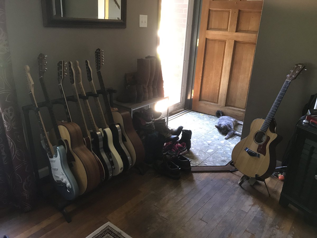 Three of Kim's favorite things.. #guitars #cats #shoes