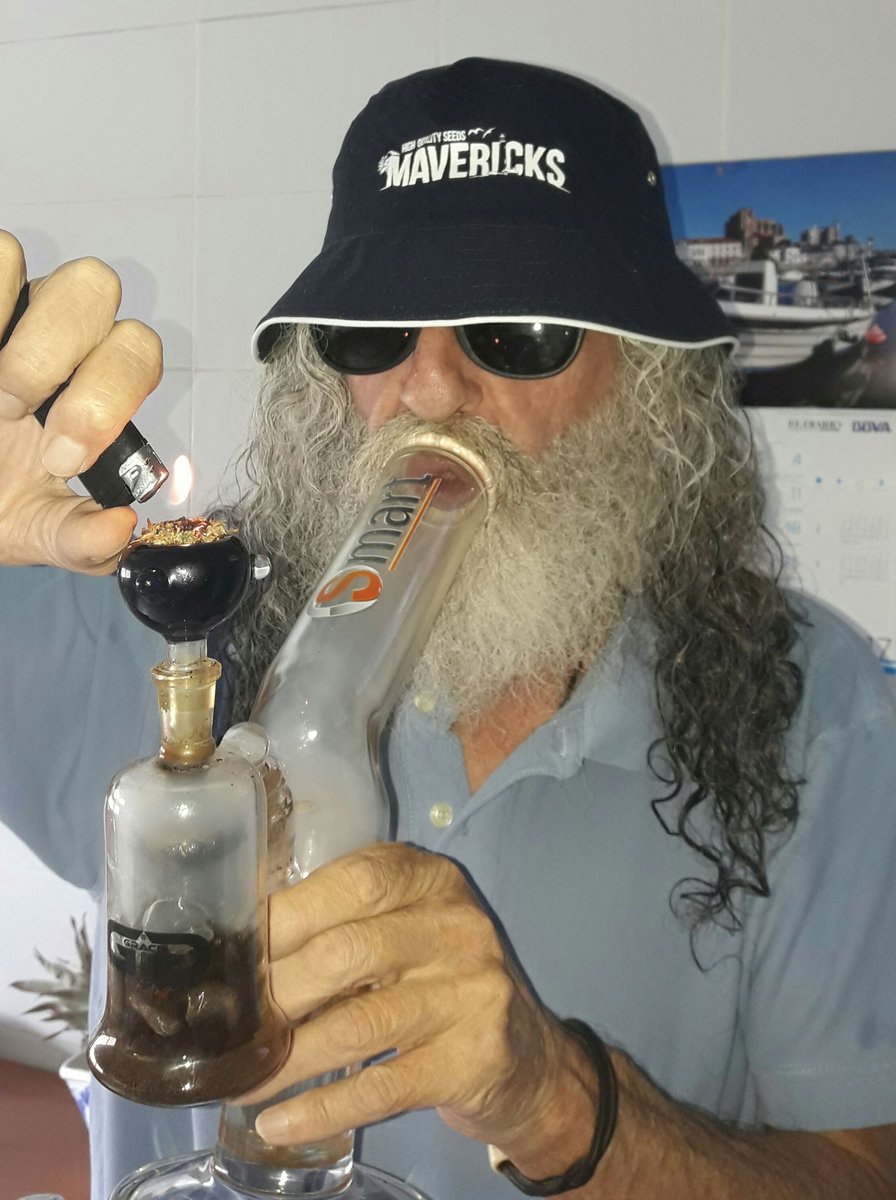 Apez140's tweet photo. @Volandoenminube Weed Noche ya Poison, hacemos lo qué se puede. De momento,
#LosMejoresHumos con #AfghanStorm de @GreenbudSeeds.
Boong va, A Tu Salud:-))) https://t.co/BJW240GAhS