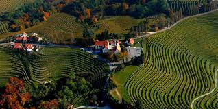 petra_jansa's tweet photo. Ki bo rekel/rekla BOG ŽIVI NAŠO DOMOVINO! #26let #Slovenia https://t.co/5Hmzp7pxK2