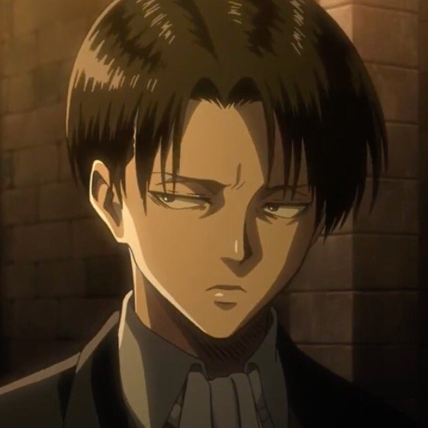 Featured image of post Levi Aot Icon