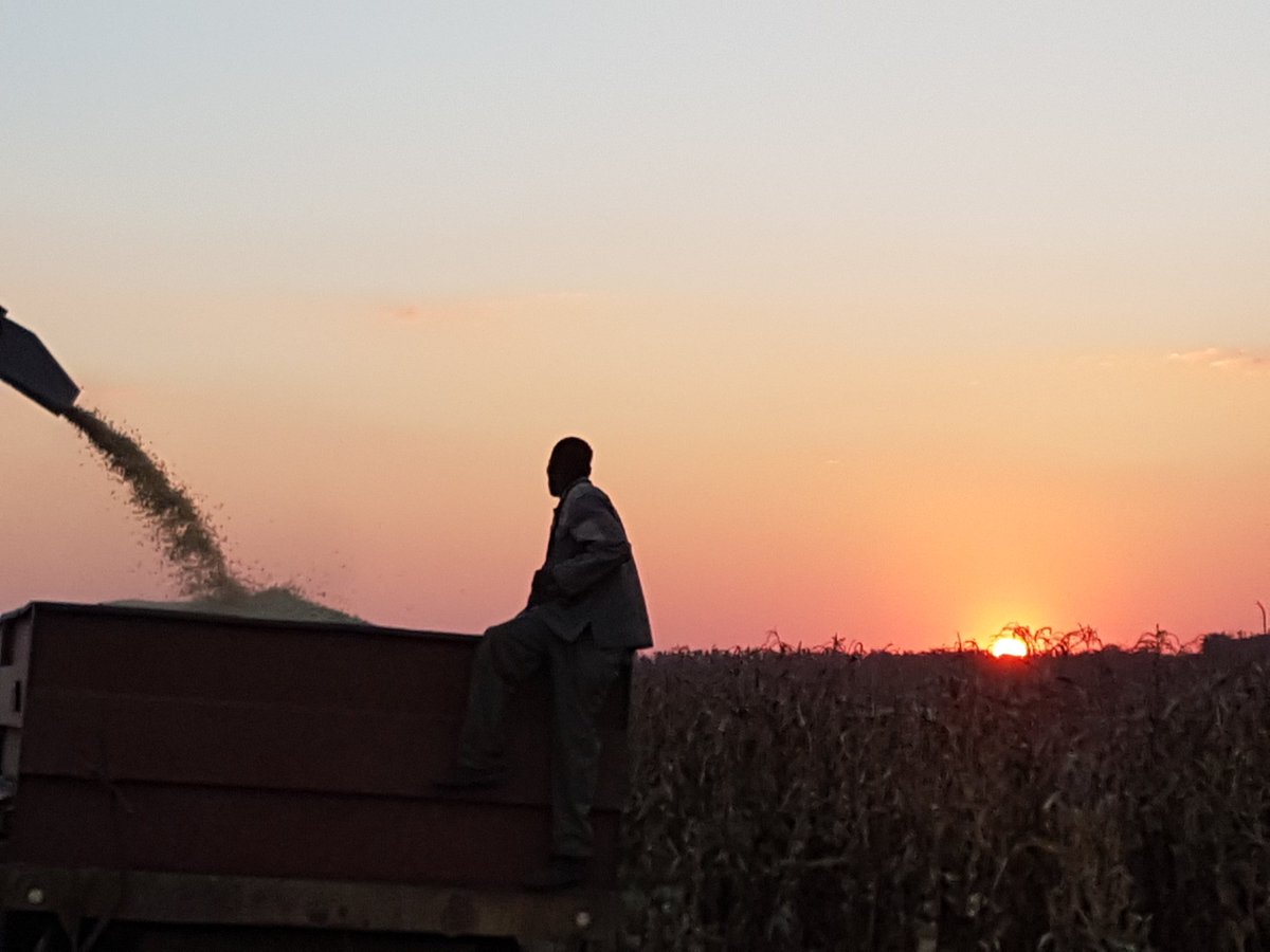 cbdemilo's tweet image. 