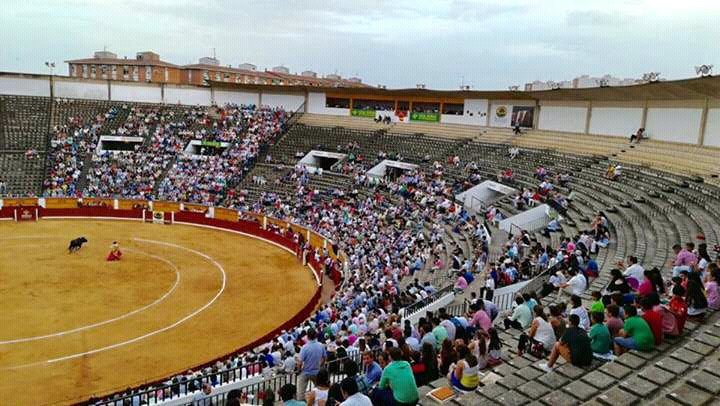 giraldilloconG's tweet photo. Fotografías de la plaza de Badajoz hoy,qué exitazo!!! Y pretendía la @FITauromaquia tomar por tontos a los pacenses.
Pena del 50 aniversario https://t.co/o2fuFnsBsP