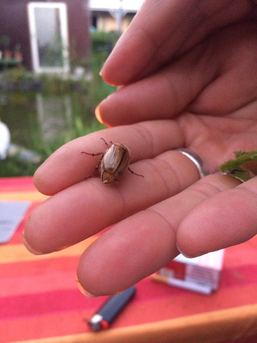 Amy ❤️ Stylah tweet media