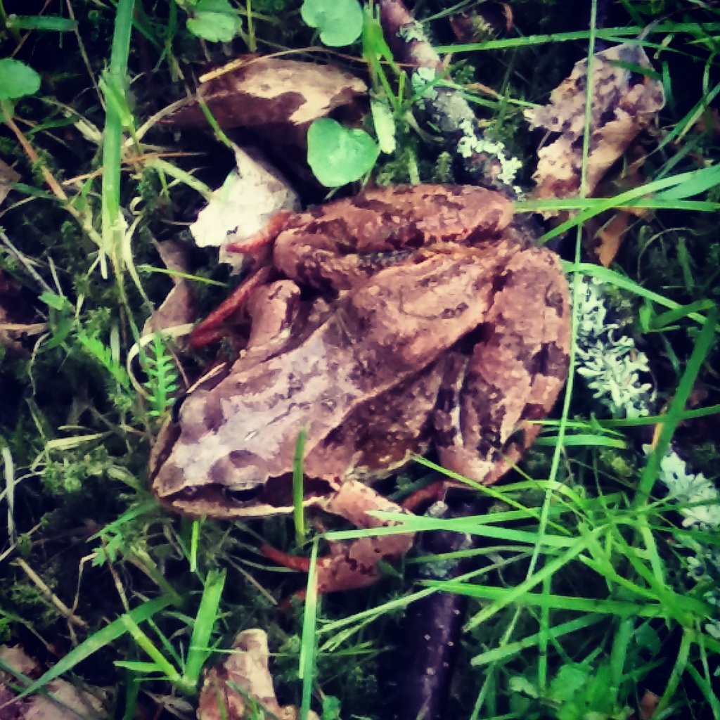 VisualGoGo's tweet image. Kesä on täynnä kuvia ja mukavia yllätyksiä. #kuvia #yllätyksiä #vgg #juhannustaika