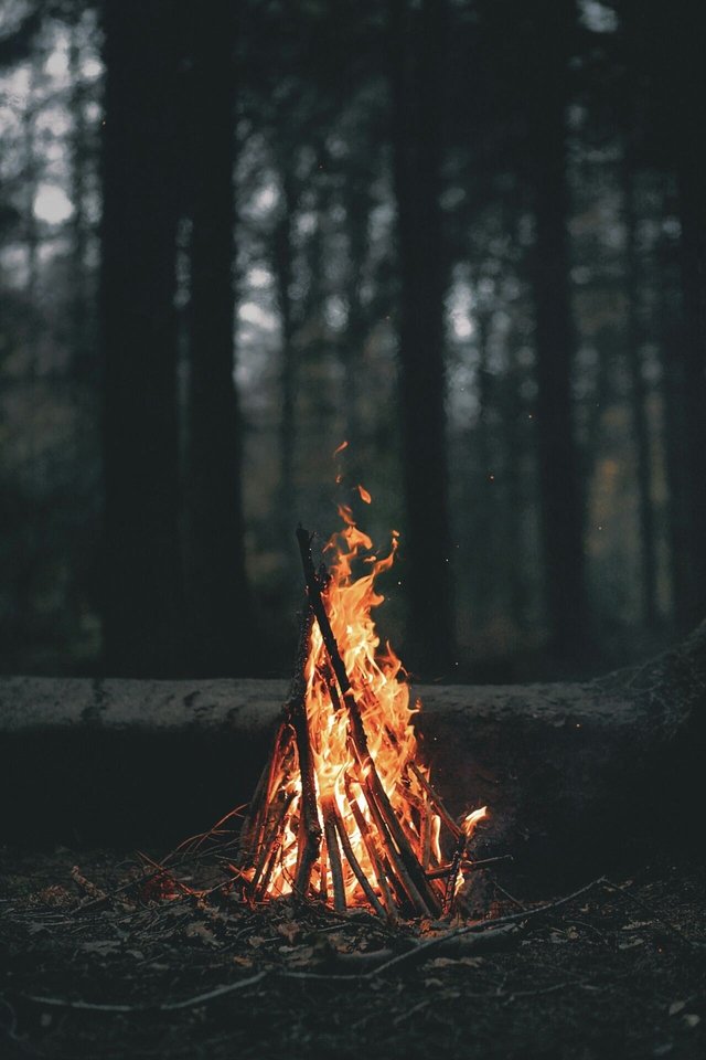 RevCwell1's tweet photo. Let your fire burn. What's your passion? https://t.co/A8WnciM00b