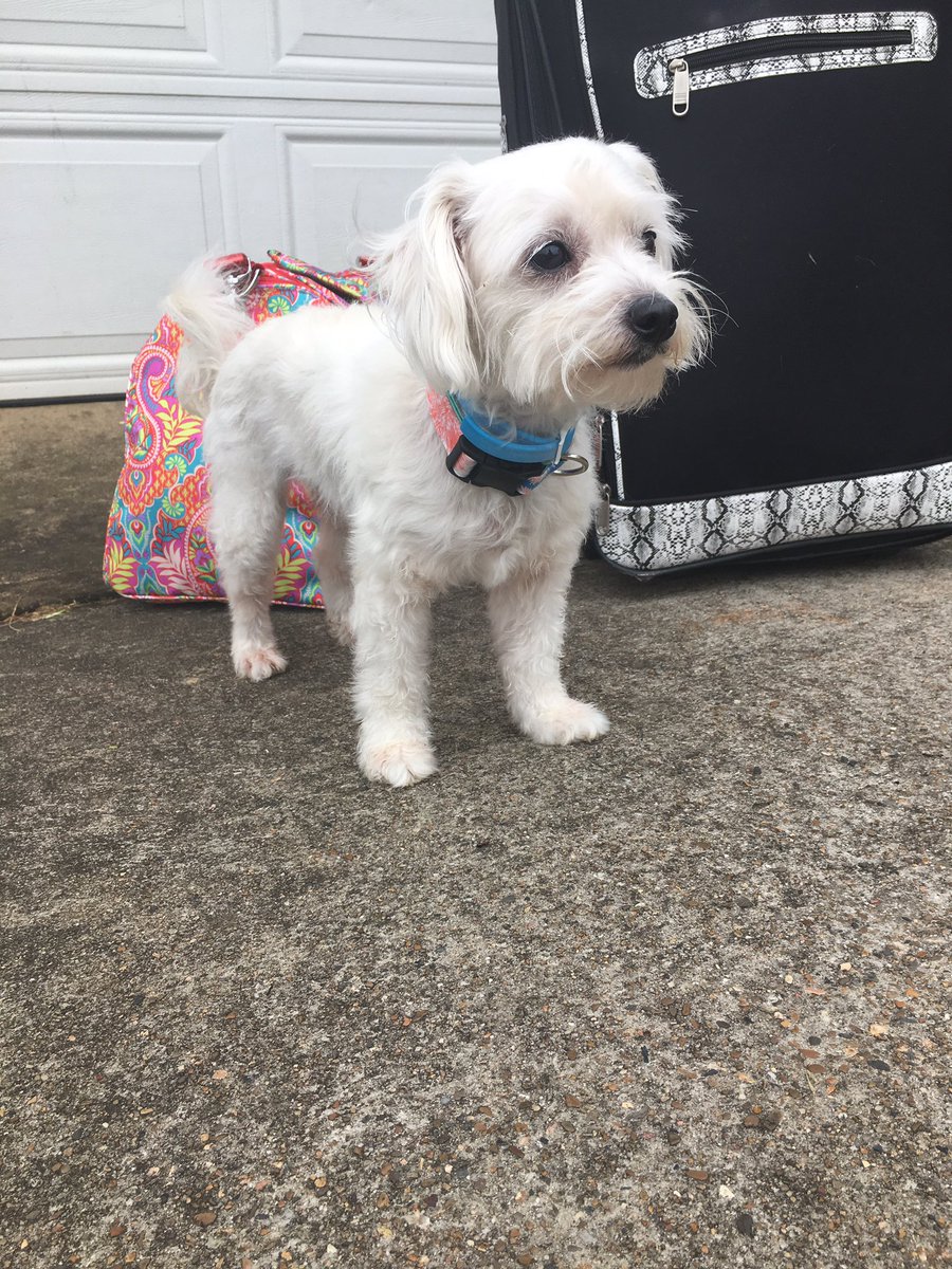 summer is for vaca btw