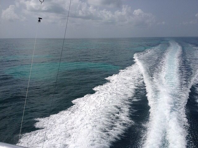 zekesmarina's tweet photo. When was the last time you went out in The Gulf of Mexico?

https://t.co/nQMfLlP2WU https://t.co/rrHxeOyiCt